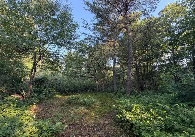 2nd image of Xxxxx Volkmann Ln, Grantsburg, WI 54840 | MLS# 7111720
