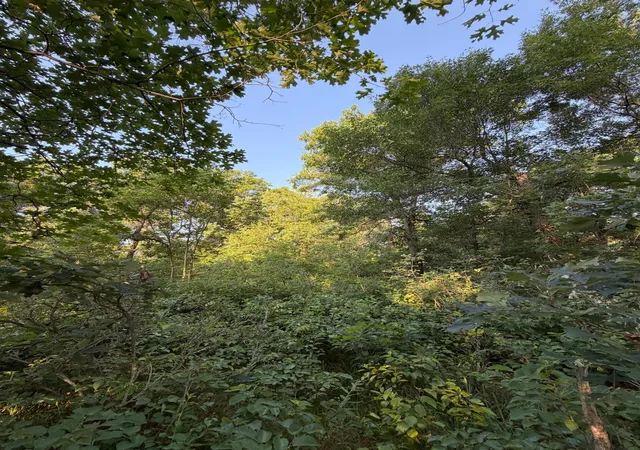 Photo 3 of Land for sale at Xxxxx Volkmann Ln, Grantsburg, WI 54840 | MLS# 7111720 | Listing updated on 2026-07-21