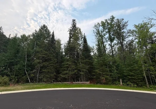 2nd image of Lot 1, Block 2 Edien Dr, Cook, MN 55723 | MLS# 7111892