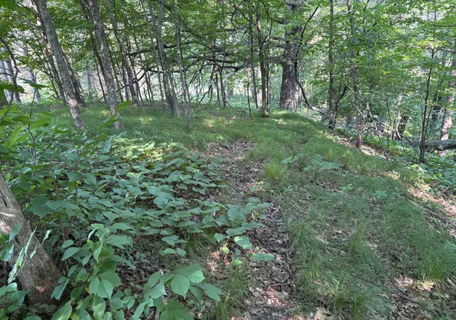 1st image of 320th 320th St, Browerville, MN 56438 | MLS# 7111992