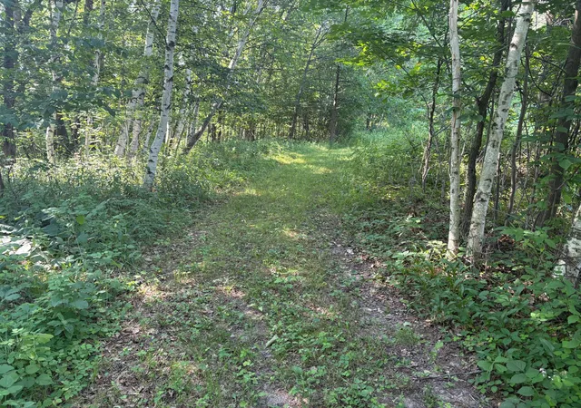 4th image of 320Th 320Th St, Browerville, MN 56438 | MLS# 7111992