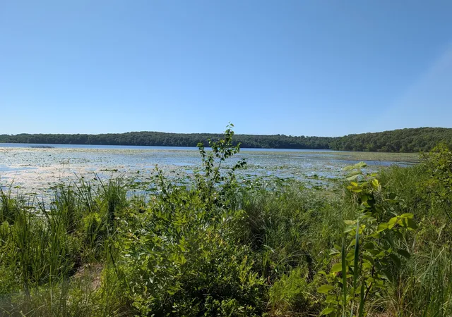 2nd image of 3223 Sebie Lake Rd, Fort Ripley, MN 56449 | MLS# 7112078