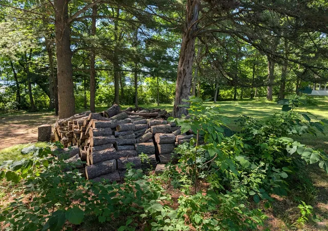 4th image of 3223 Sebie Lake Rd, Fort Ripley, MN 56449 | MLS# 7112078