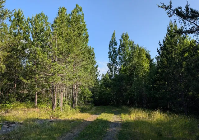 Photo 1 of Land for sale at Lot A Hwy 24, Orr, MN 55771 | MLS# 7112212 | Listing updated on 2026-07-20