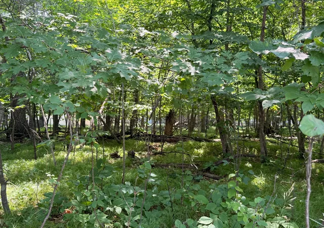 Land for sale at Tbd Breezy Point Blvd, Pequot Lakes, MN 56472 | MLS# 7112231 | Listing updated on 2026-07-30