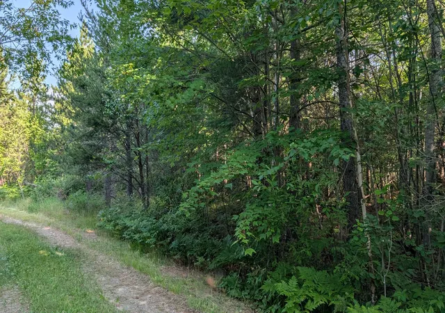 Photo 1 of Land for sale at Lot B Hwy 24, Orr, MN 55771 | MLS# 7112243 | Listing updated on 2026-07-20