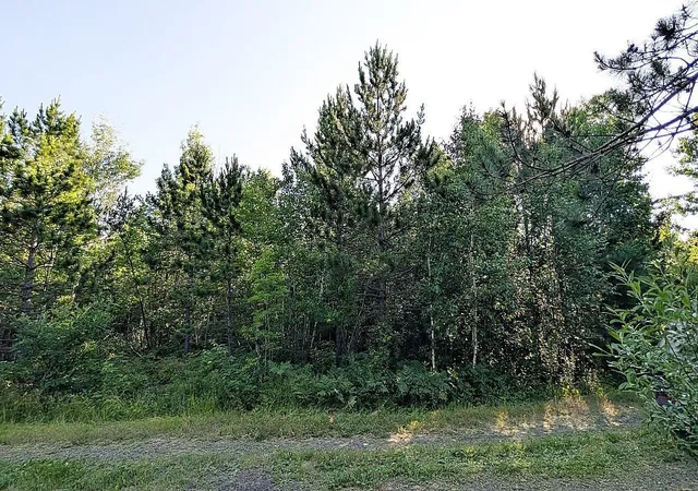 Photo 2 of Land for sale at Lot B Hwy 24, Orr, MN 55771 | MLS# 7112243 | Listing updated on 2026-07-20
