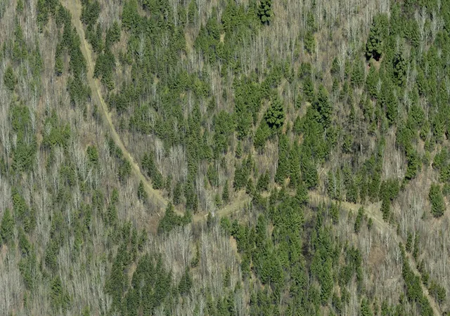 Photo 3 of Land for sale at Lot B Hwy 24, Orr, MN 55771 | MLS# 7112243 | Listing updated on 2026-07-20