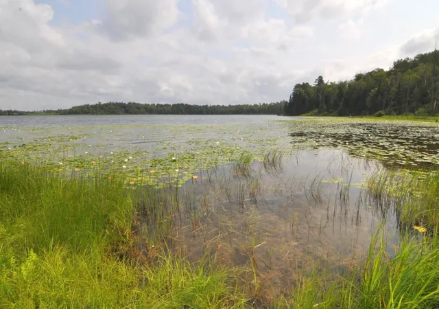 3rd image of 1702 Kerr Lake Dr Nw, Hackensack, MN 56452 | MLS# 7112291