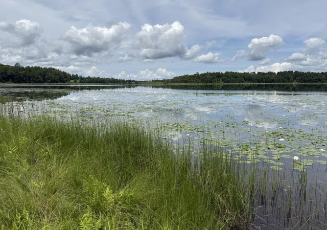 4th image of 1702 Kerr Lake Dr Nw, Hackensack, MN 56452 | MLS# 7112291