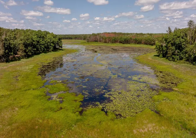 45th image of 30144 Loon Lake Rd, Crosby, MN 56441 | MLS# 7112307