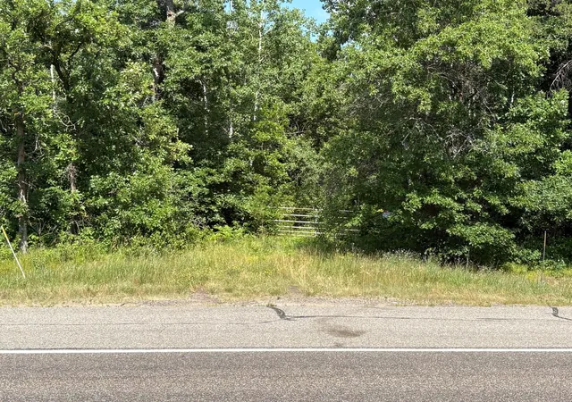 1st image of Tbd (east Side 371) Hwy 371 (east Side), Backus, MN 56435 | MLS# 7112314