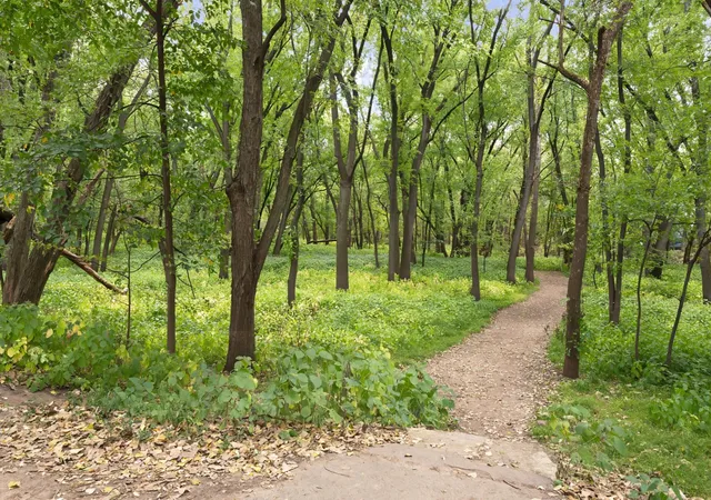Listing Photo 2 - Condo for sale in building located at 1101 Sibley Memorial Hwy, Lilydale, MN 55118 - Unit #207