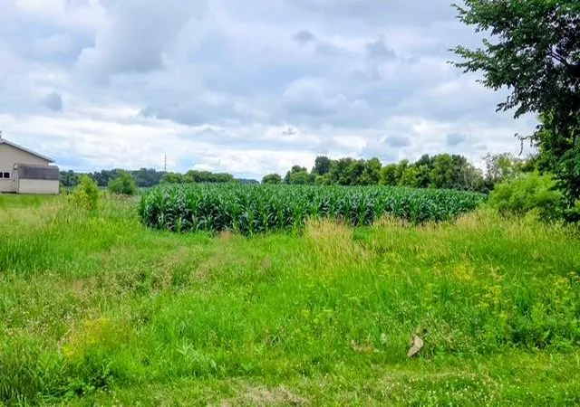 5th image of 398 E Pike St, Osakis, MN 56360 | MLS# 7112332