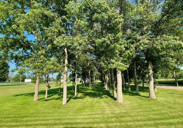 Photo 4 of Land for sale at Tbd Center St, Clements, MN 56224 | MLS# 7112385 | Listing updated on 2026-07-21