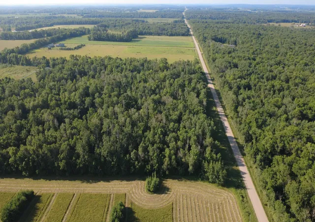 Photo 1 of Land for sale at 21828 205th Avenue, Little Falls, MN 56345 | MLS# 7112499 | Listing updated on 2026-08-06