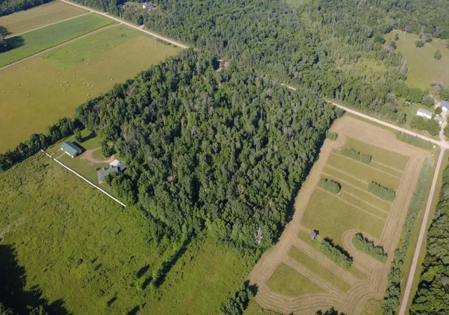 Photo 2 of Land for sale at 21828 205th Avenue, Little Falls, MN 56345 | MLS# 7112499 | Listing updated on 2026-08-06