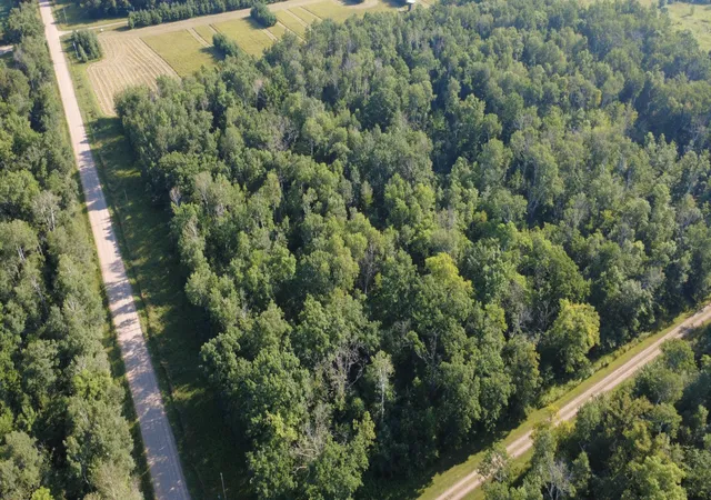 Photo 3 of Land for sale at 21828 205th Avenue, Little Falls, MN 56345 | MLS# 7112499 | Listing updated on 2026-08-06