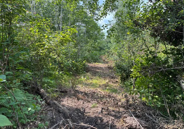 Photo 3 of Land for sale at Tbd Woodland Hills Dr Se, Bemidji, MN 56601 | MLS# 7112595 | Listing updated on 2026-08-01