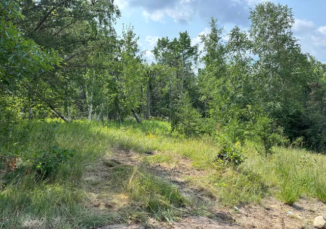 Photo 3 of Land for sale at Tbd Woodland Hills Dr SE, Bemidji, MN 56601 | MLS# 7112595 | Listing updated on 2026-08-01