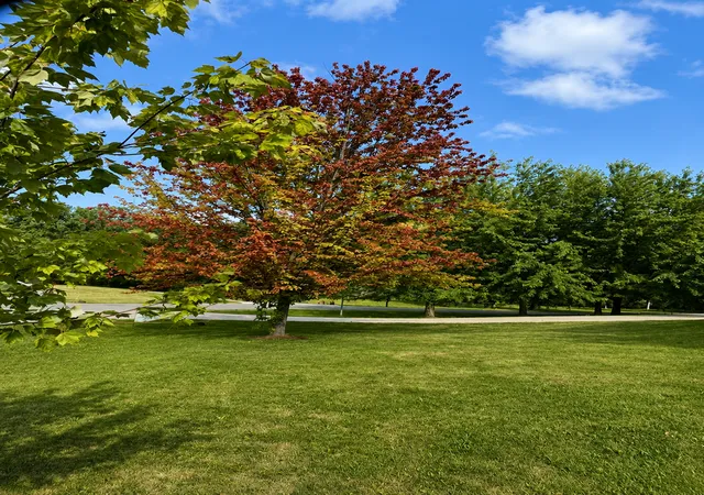 Photo 3 of Sale Pending at 2208 Darling Ave E, Alexandria, MN 56308 | MLS# 7112674 | Listing updated on 2026-09-23