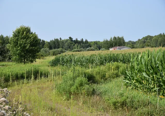 26th image of 17891 90th Ave, Milaca, MN 56353 | MLS# 7112722