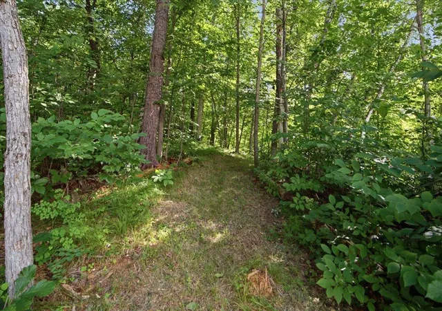 38th image of 31594 Green Scene Dr, Pequot Lakes, MN 56472 | MLS# 7112768