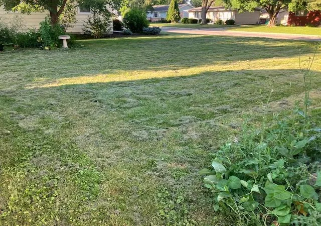 Photo 3 of Single family home for sale at 825 9th Avenue Ne, Waseca, MN 56093 | MLS# 7112978 | Listing updated on 2026-08-18