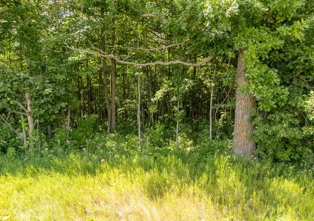 3rd image of Tbd Xxx County Road 3, Eagle Bend, MN 56446 | MLS# 7112999