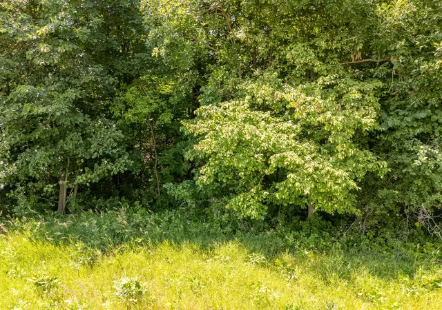4th image of Tbd Xxx County Road 3, Eagle Bend, MN 56446 | MLS# 7112999