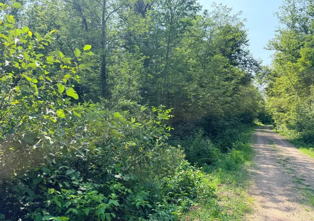 image of 23637 561st Ln, Mc Gregor, MN 55760 | MLS# 7113046