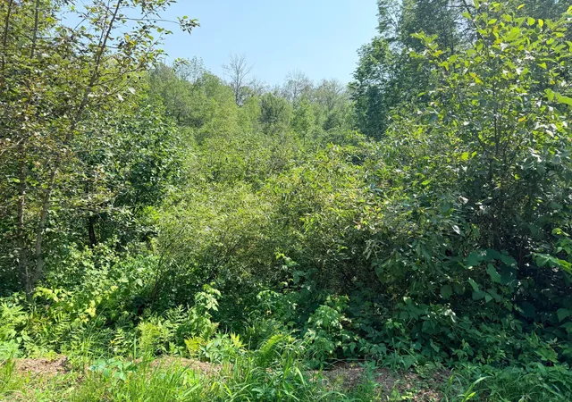 image of 23637 561st Ln, Mc Gregor, MN 55760 | MLS# 7113046