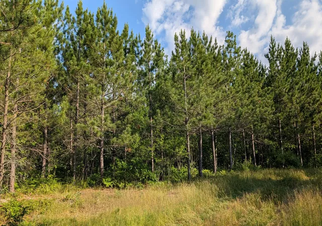 Photo 1 of Land for sale at Lot C Hwy 24, Orr, MN 55771 | MLS# 7113088 | Listing updated on 2026-07-21