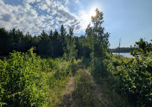Photo 3 of Land for sale at Lot C Hwy 24, Orr, MN 55771 | MLS# 7113088 | Listing updated on 2026-07-21