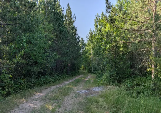 Photo 3 of Land for sale at Lot C Hwy 24, Orr, MN 55771 | MLS# 7113088 | Listing updated on 2026-07-21