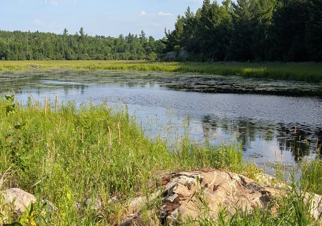 Photo 4 of Land for sale at Lot C Hwy 24, Orr, MN 55771 | MLS# 7113088 | Listing updated on 2026-07-21
