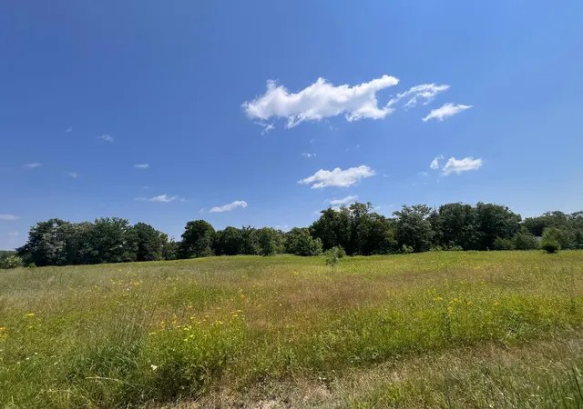 Photo 3 of Land for sale at 36200 County Rd 39, Laporte, MN 56461 | MLS# 7113171 | Listing updated on 2026-08-20