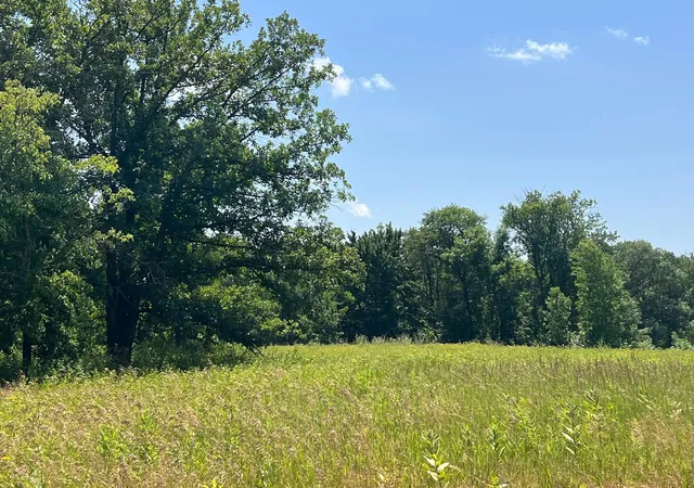 Photo 3 of Land for sale at 36200 County Rd 39, Laporte, MN 56461 | MLS# 7113171 | Listing updated on 2026-08-20