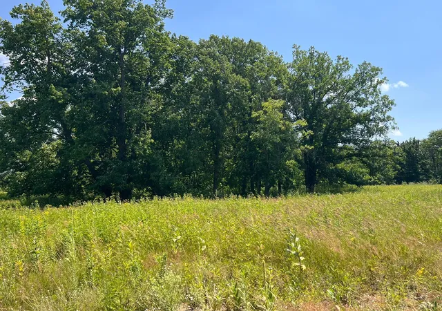 Photo 4 of Land for sale at 36200 County Rd 39, Laporte, MN 56461 | MLS# 7113171 | Listing updated on 2026-08-20