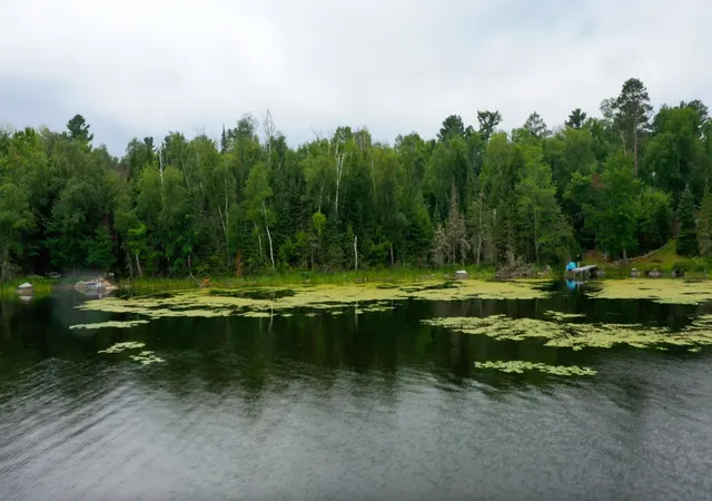 Photo 3 of Land for sale at Tbd Muskego Bay, Cook, MN 55723 | MLS# 7113289 | Listing updated on 2026-07-27