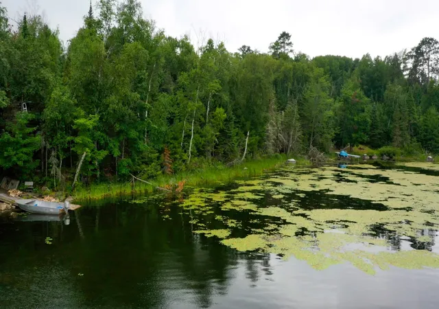 Photo 3 of Land for sale at Tbd Muskego Bay, Cook, MN 55723 | MLS# 7113289 | Listing updated on 2026-07-27