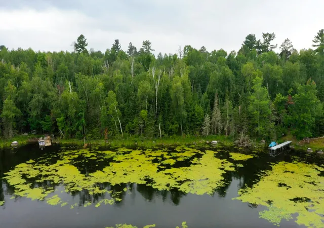Photo 4 of Land for sale at Tbd Muskego Bay, Cook, MN 55723 | MLS# 7113289 | Listing updated on 2026-07-27