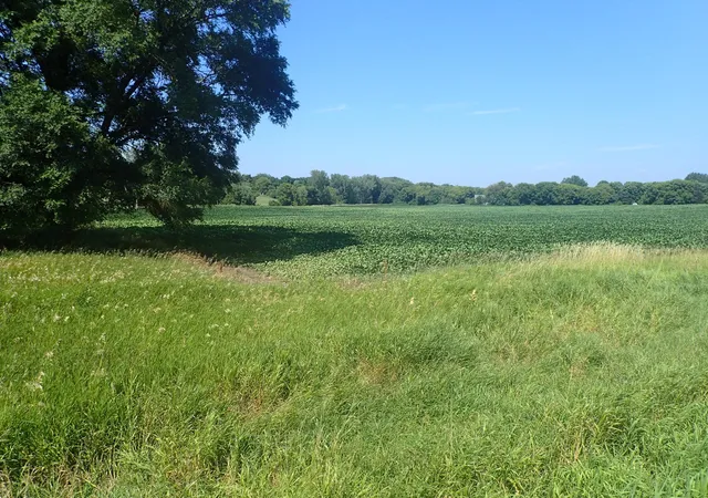 1st image of Xxx22 60th St Sw, Cokato, MN 55321 | MLS# 7113297