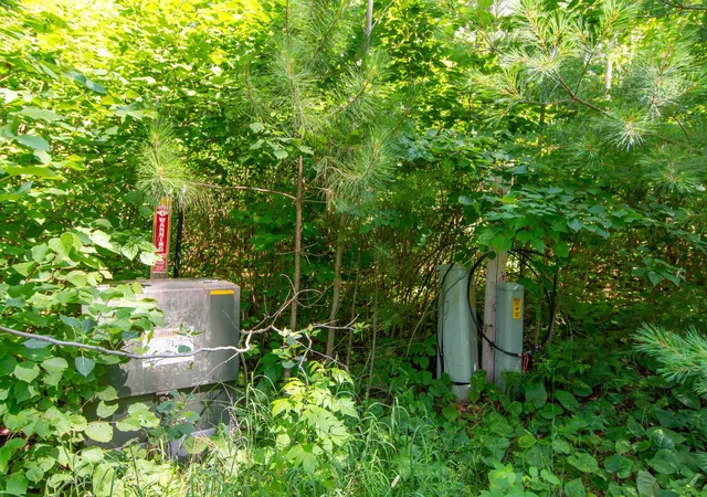 46th image of 5778 S Bass Lake Rd Ne, Remer, MN 56662 | MLS# 7113347