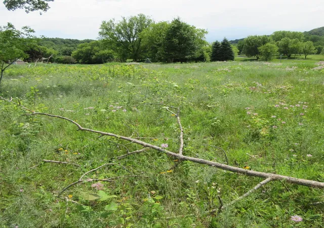 3rd image of Lot 12 516Th Street, Menomonie, WI 54751 | MLS# 7113393