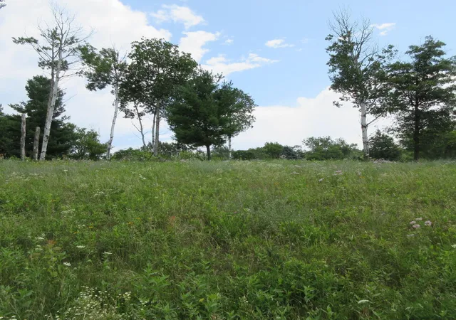 1st image of Lot 13 Street, Menomonie, WI 54751 | MLS# 7113416