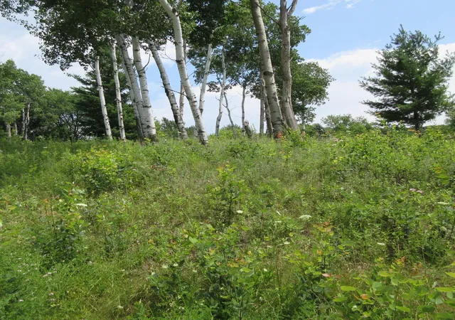 4th image of Lot 13 Street, Menomonie, WI 54751 | MLS# 7113416