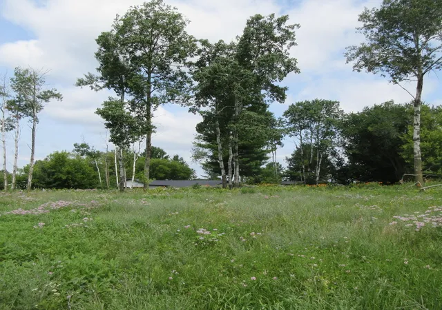 5th image of Lot 13 Street, Menomonie, WI 54751 | MLS# 7113416