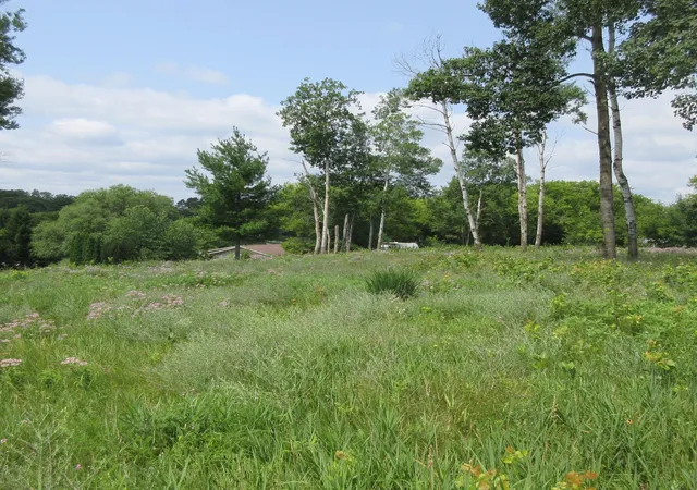 8th image of Lot 13 Street, Menomonie, WI 54751 | MLS# 7113416