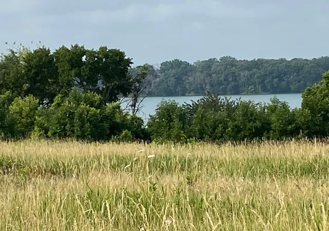 1st image of Tbd Tbd, Albert Lea, MN 56007 | MLS# 7113655